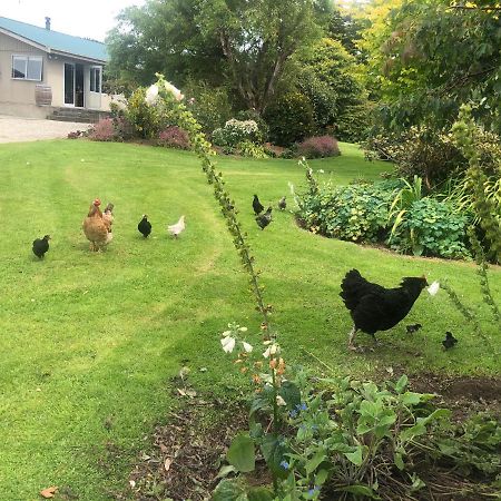 Southland Organic Farmstay Invercargill Exterior foto